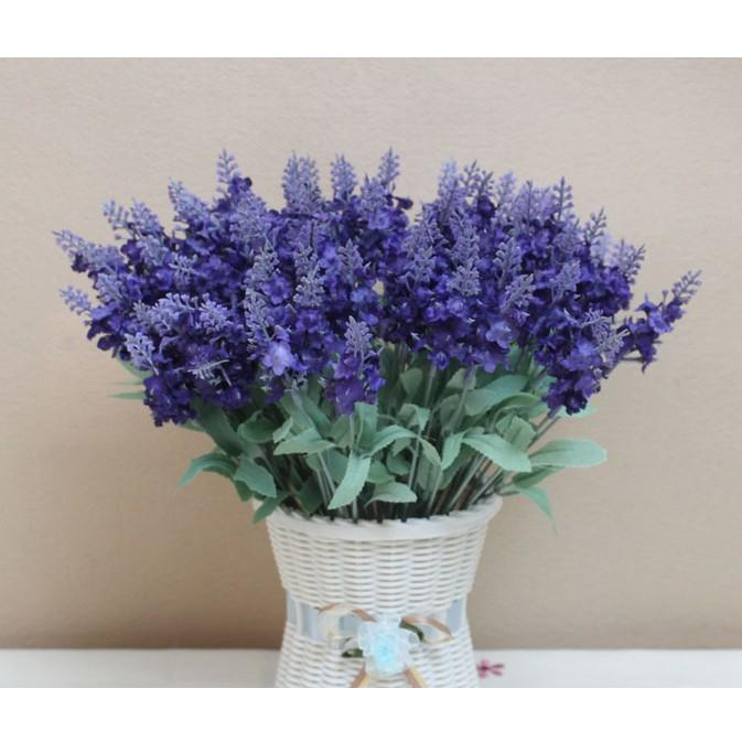 Hoa giả - Hoa lavender