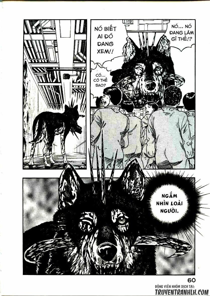 inugami chapter 16 21