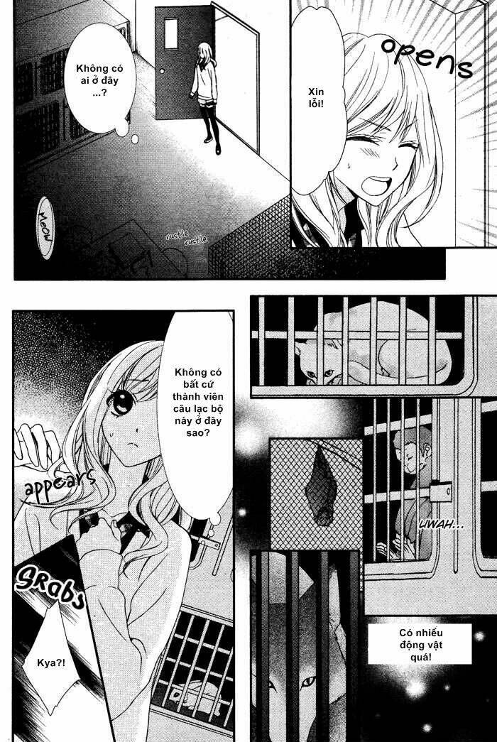 viên kẹo kỳ diệu chapter 0 4