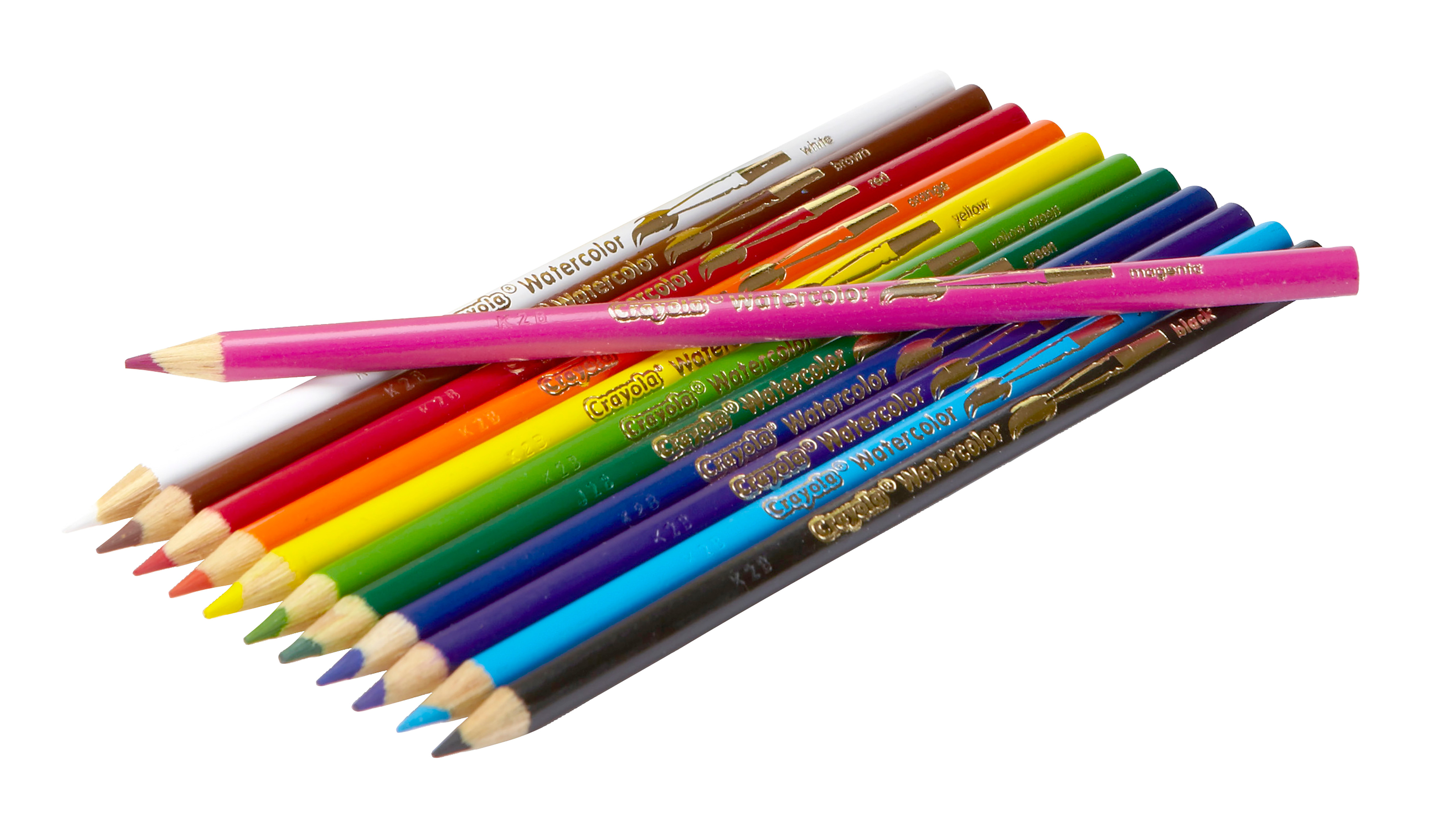 HỘP 12 BÚT MÀU NƯỚC DẠNG CHÌ CHUỐT SẴN CRAYOLA