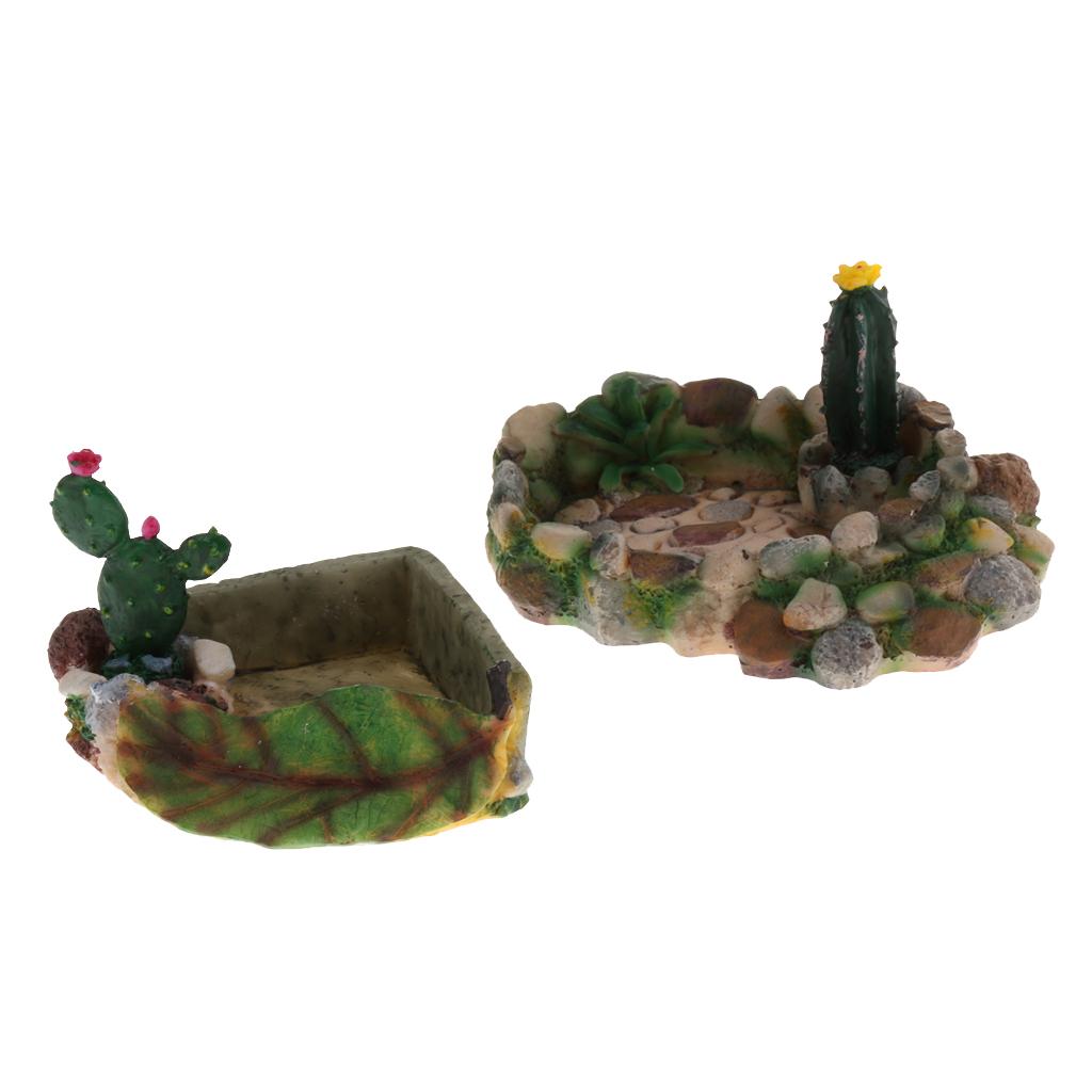Reptile Food Water Dish Vivarium Decoration
