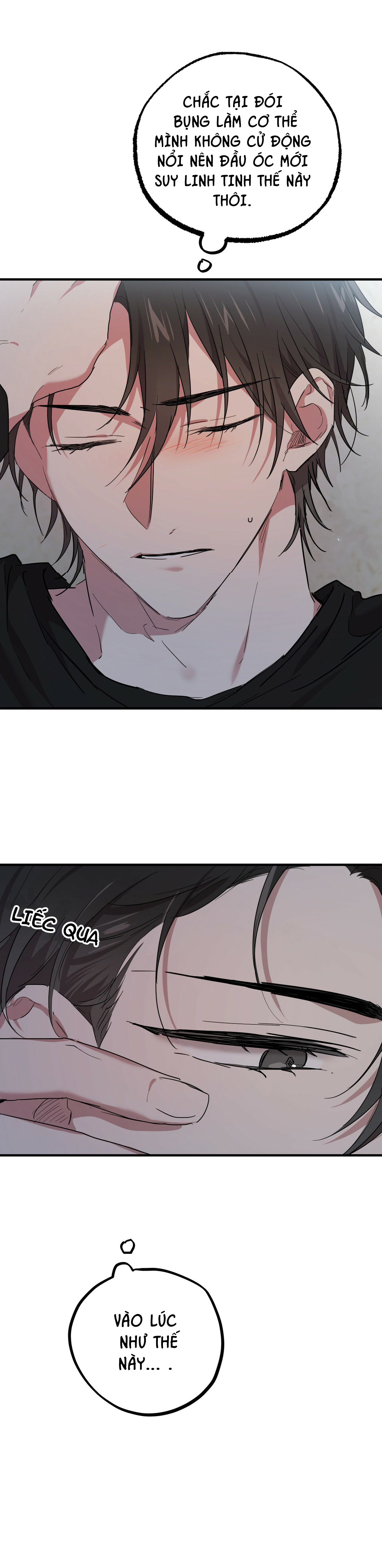 những chú thỏ của hapypy chapter 14 32