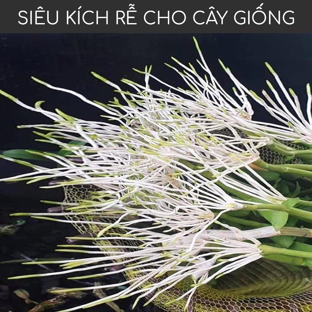 Phân bón kích rễ cực mạnh, siêu kích rễ Polypeptide rooting powder, phân bón siêu kích rễ cho lan hoa hồng và cây trồng