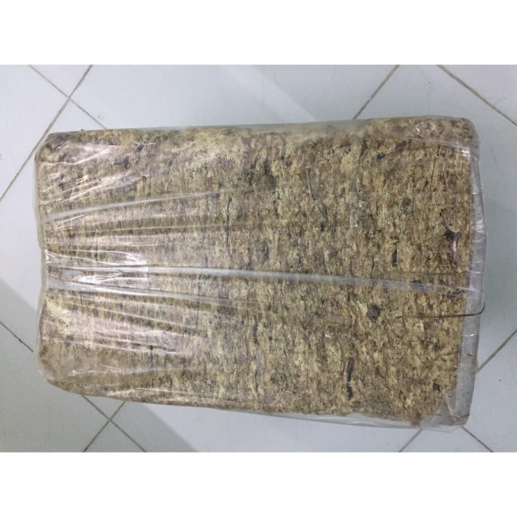 Dớn Chi Lê