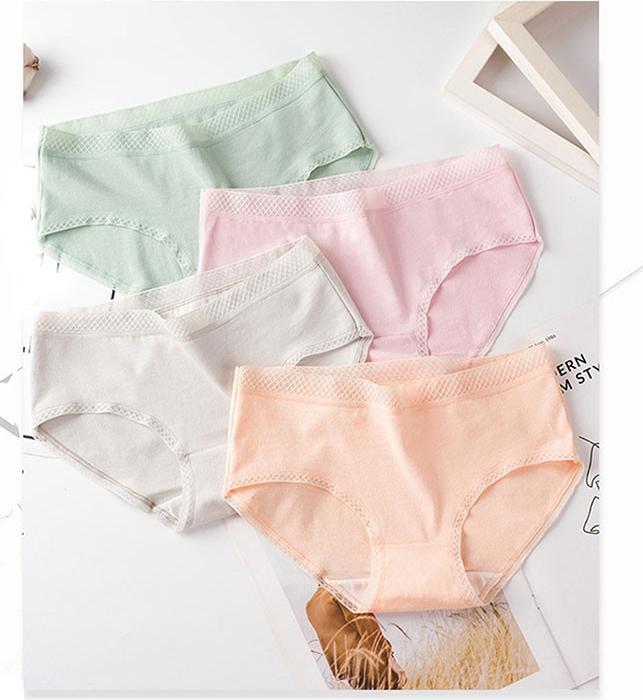 Combo 4 Quần lót nữ Cotton thời trang  QL 8135