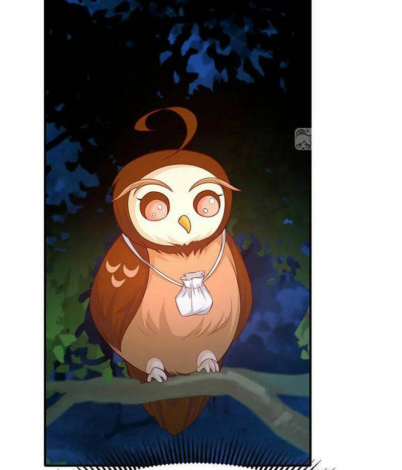 nam thần truy thê chỉ nam chapter 106.2 24