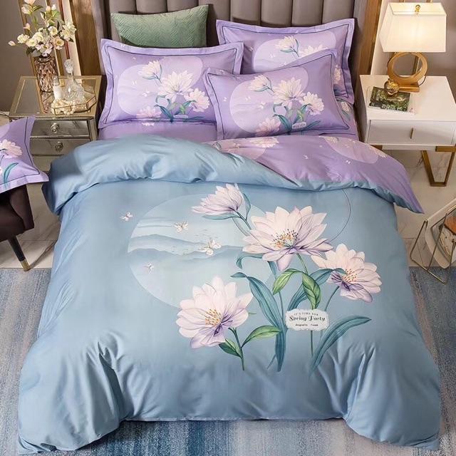 Bộ Cotton Organic 4 món mẫu mới