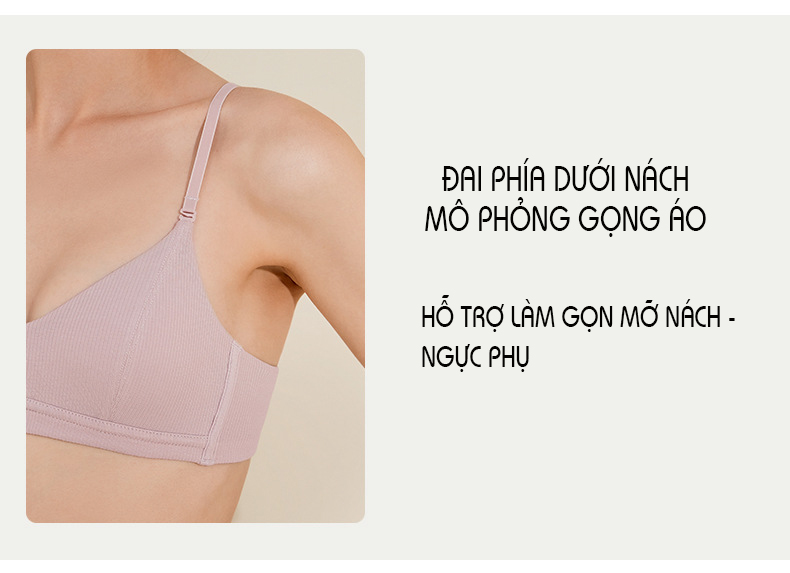 Hình ảnh Áo Lót Nữ Cotton Không Gọng Đệm Mỏng, Áo Lót Thun Tăm Dáng Thể Thao B042