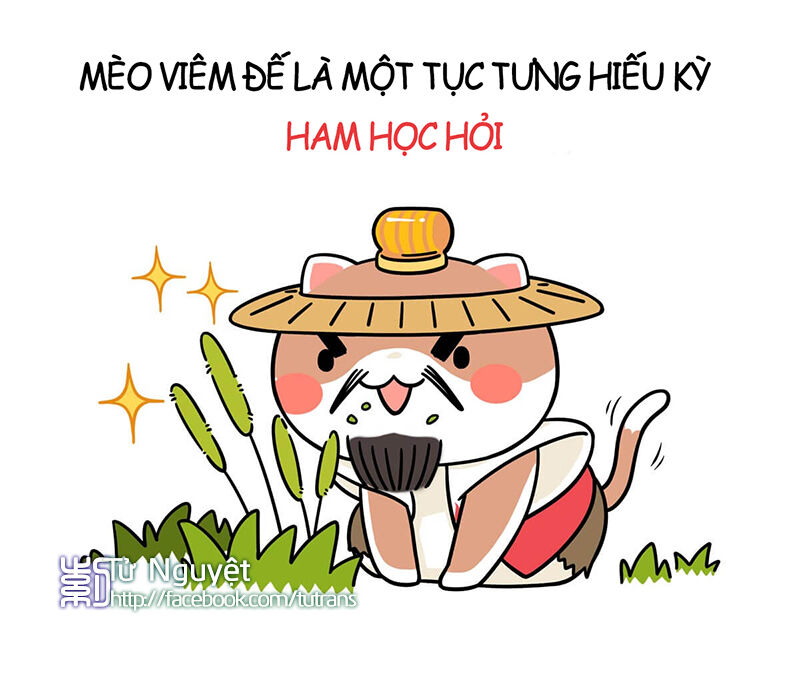 nếu lịch sử là một bầy mèo chapter 1 16