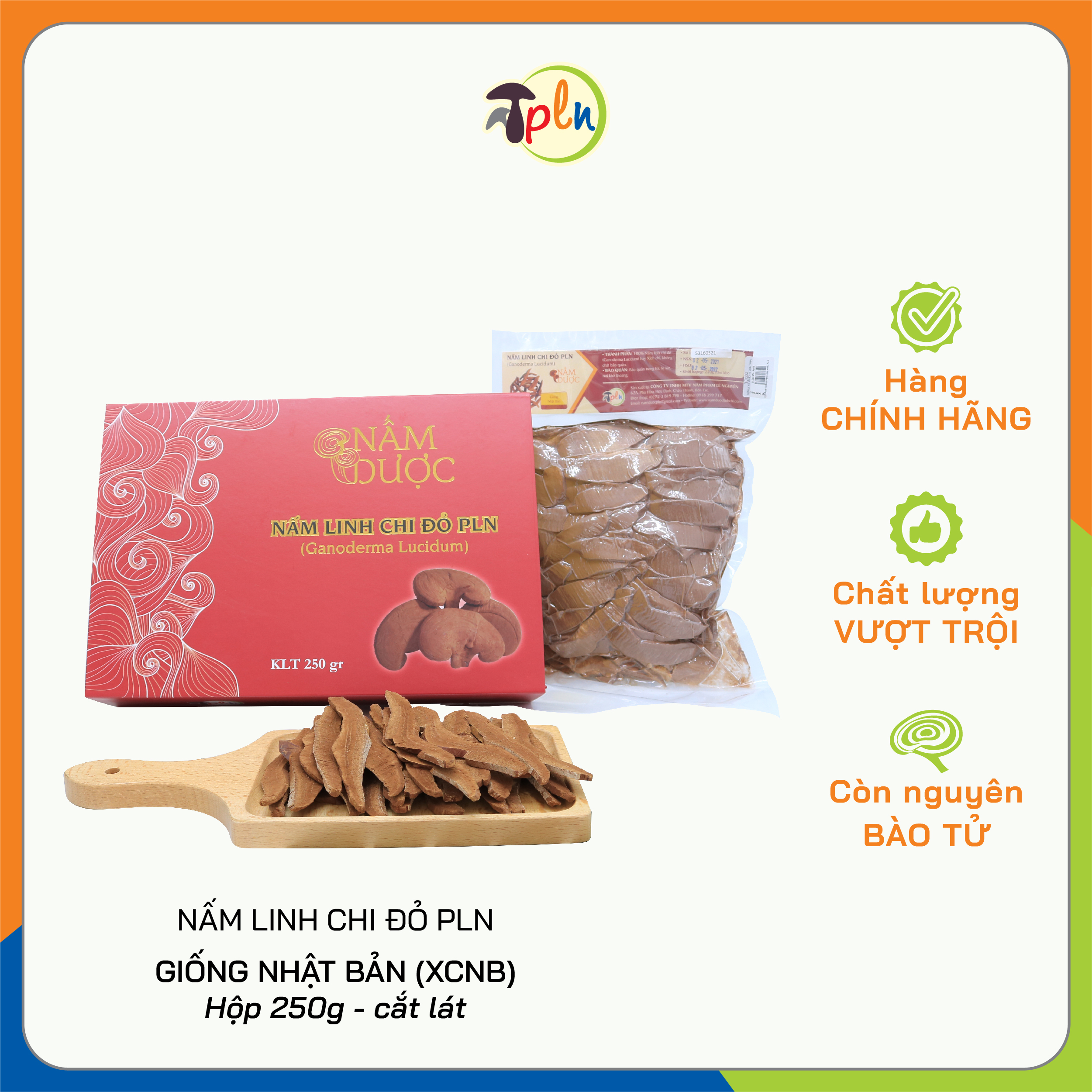 NẤM LINH CHI ĐỎ PLN - Cắt lát. Hộp 250g - Giống Nhật Bản