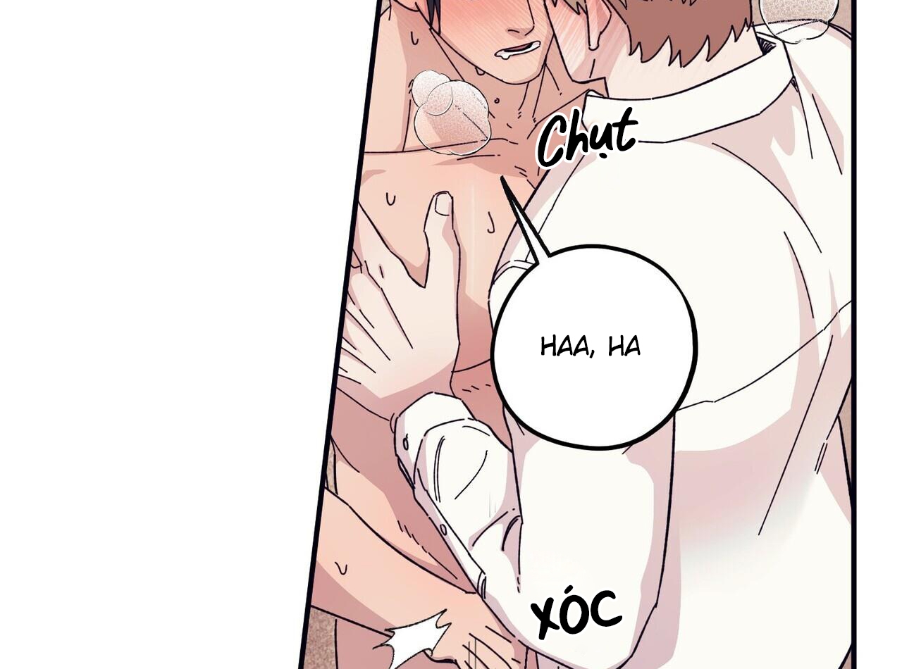 chàng dâu nhà họ kang chapter 44 48