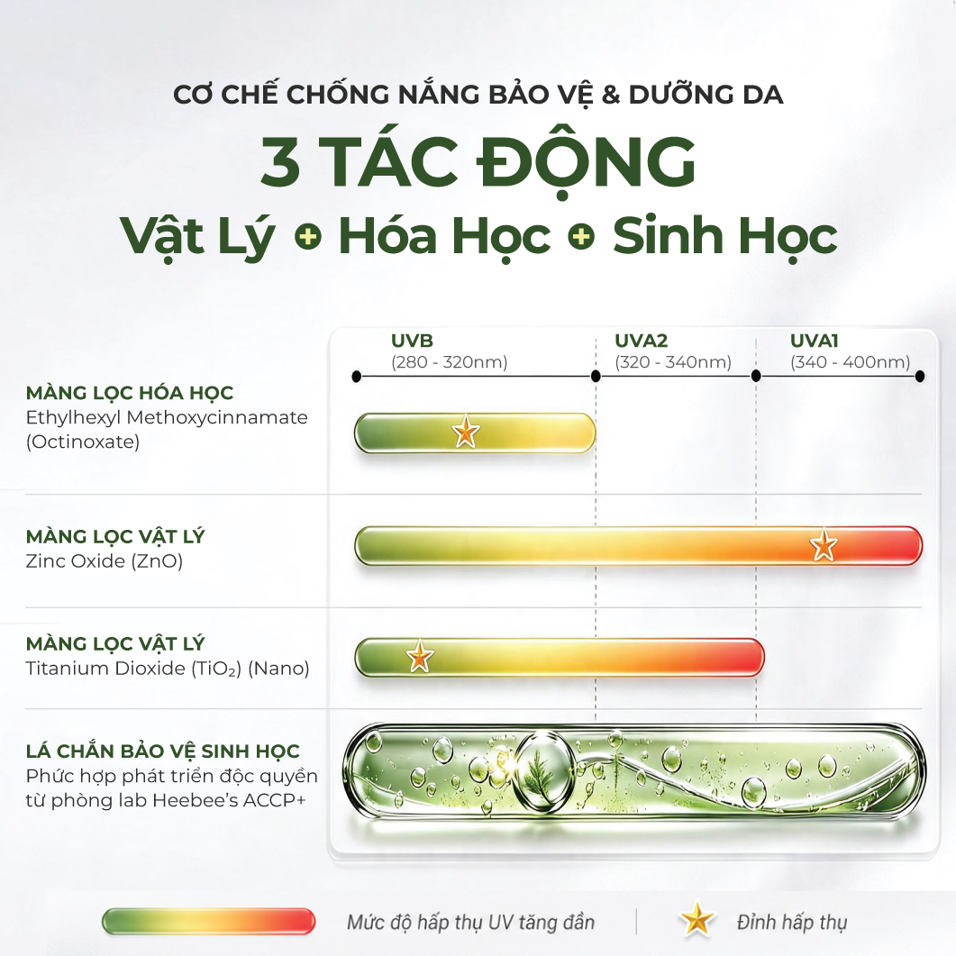 Kem Chống Nắng Thuần Chay Phổ Rộng Xương Rồng Heebee's Dưỡng Trắng, Chống Tia UVA, UVB, Ánh Sáng Xanh, Nâng Tone 40g