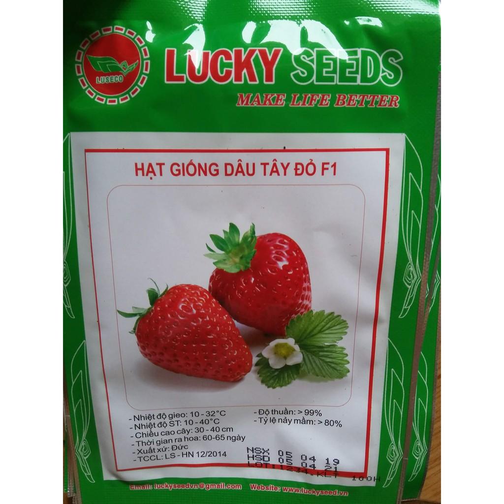 Hạt giống dâu tây đỏ 100 hạt