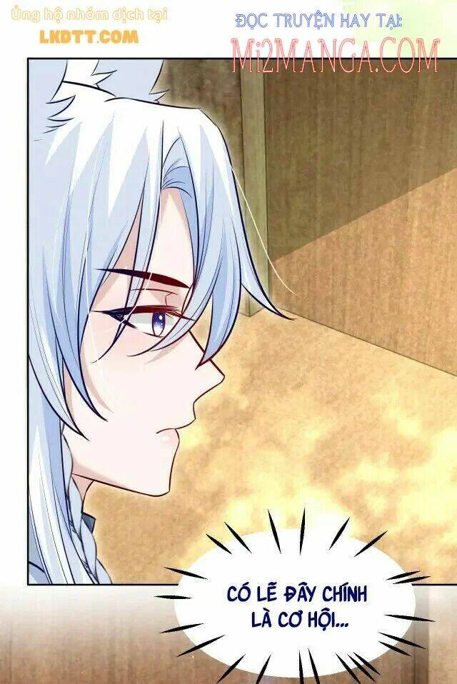 hắc hóa nam chính trực tuyến nuôi thỏ chapter 40 14