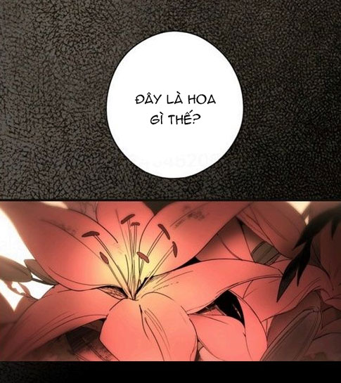 cổ tích về người mẹ kế chapter 57 13