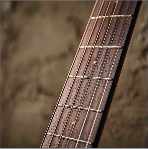 Đàn Guitar Acoustic - HEX D100CE - Hive Series - Size Grand Auditorium - EQ Fishman Sonitone GT2 - Hàng chính hãng