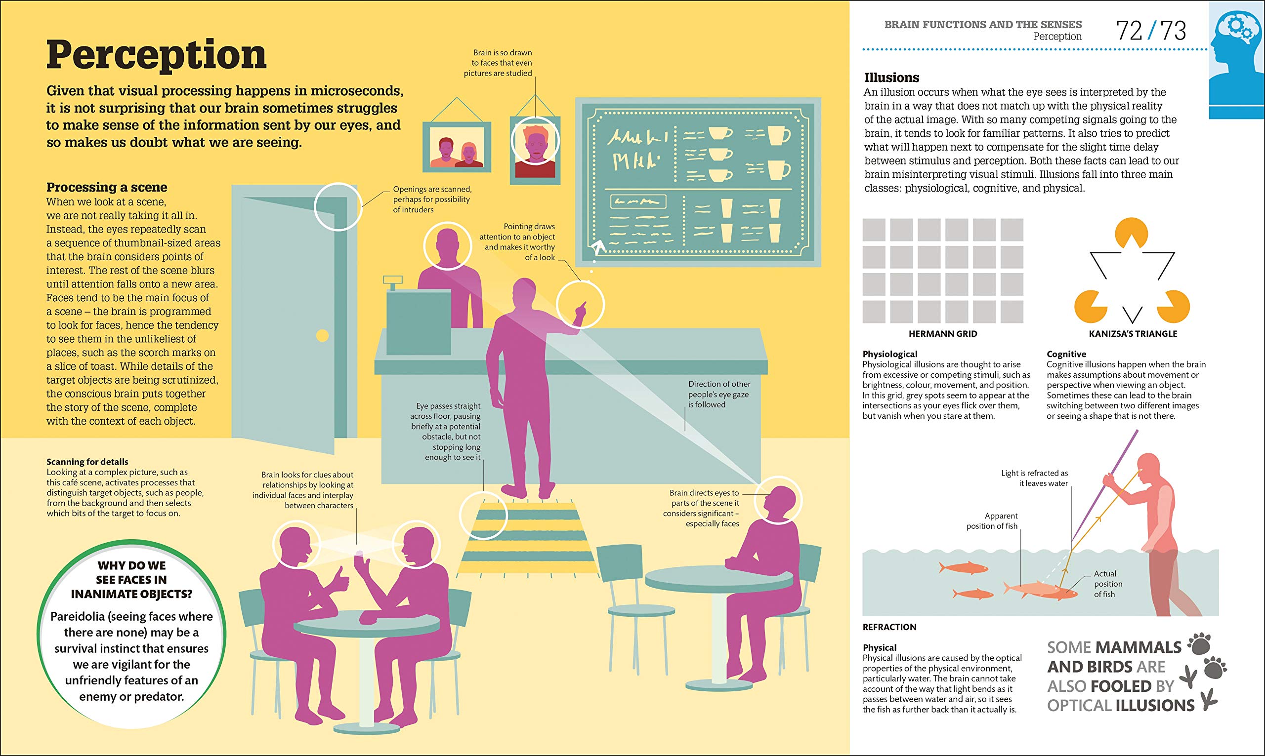 How The Brain Works: The Facts Visually Explained (How It Works)