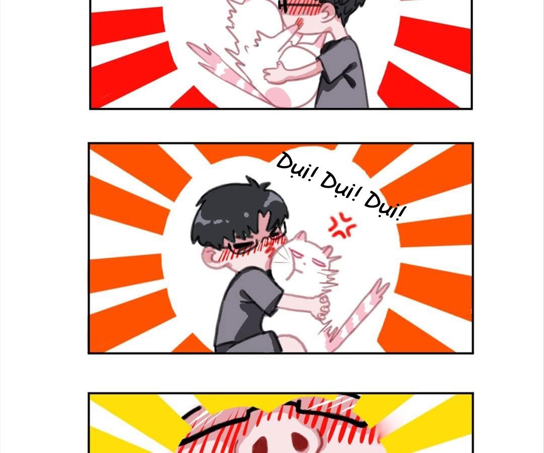 social cat chapter 1 64