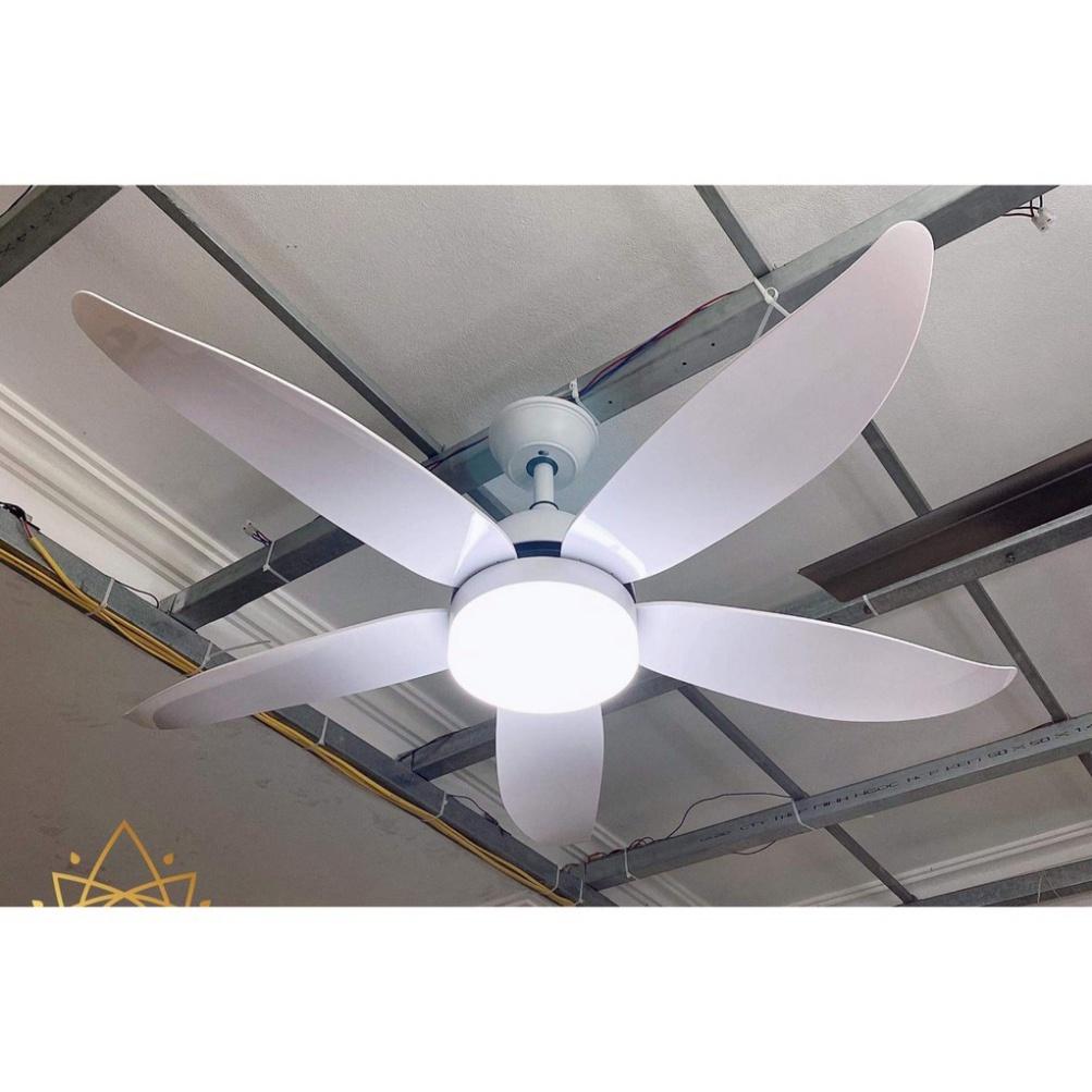Quạt Trần CERATA 6 tiêu chuẩn mức độ Gió - Công Xuất 90W khuyến mãi kèm theo Móc cao su thiên nhiên Treo Quạt Có Đèn L