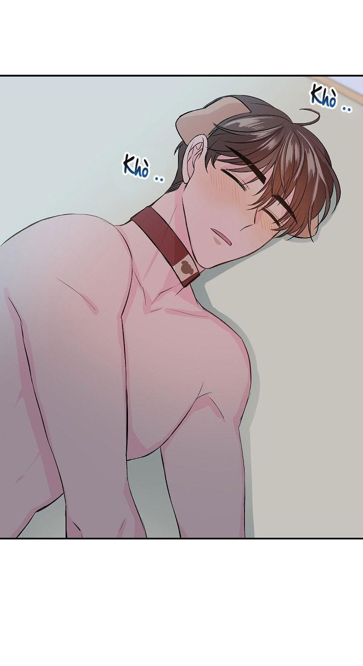 good dog , my boy chapter 2 56