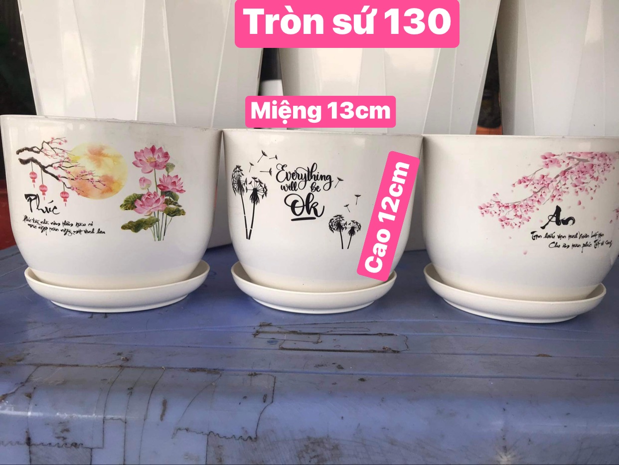 Chậu nhựa trồng cây để bàn xinh xắn rông 13 cm cao 12 cm