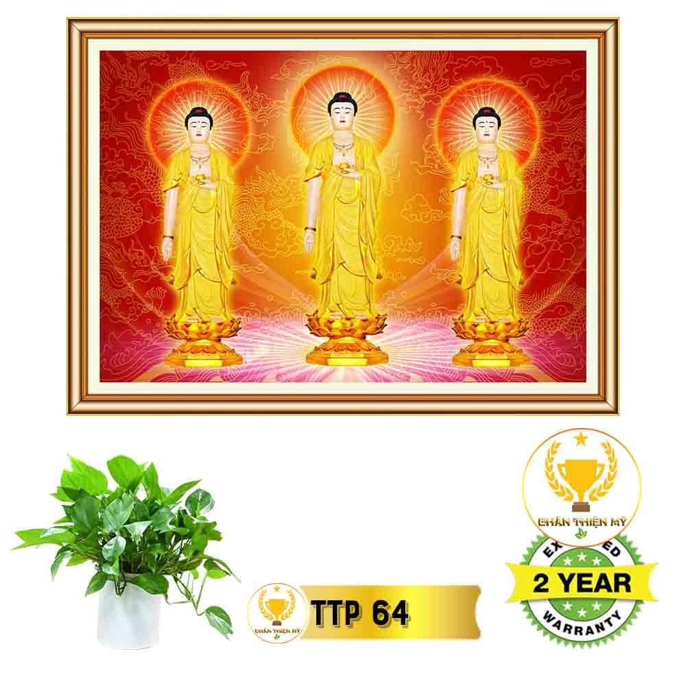 Tranh Tam Thế Phật có khung_TTPK5