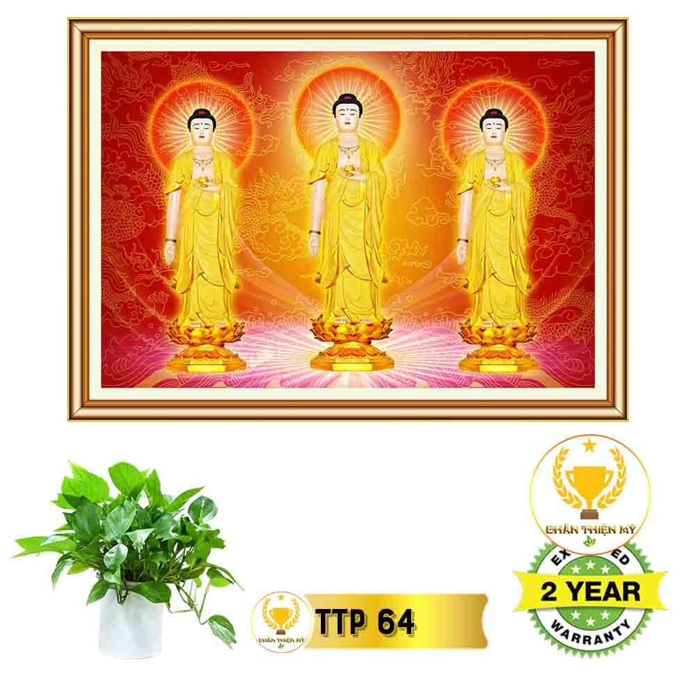 Tranh điện Tam Thế Phật_TTP7