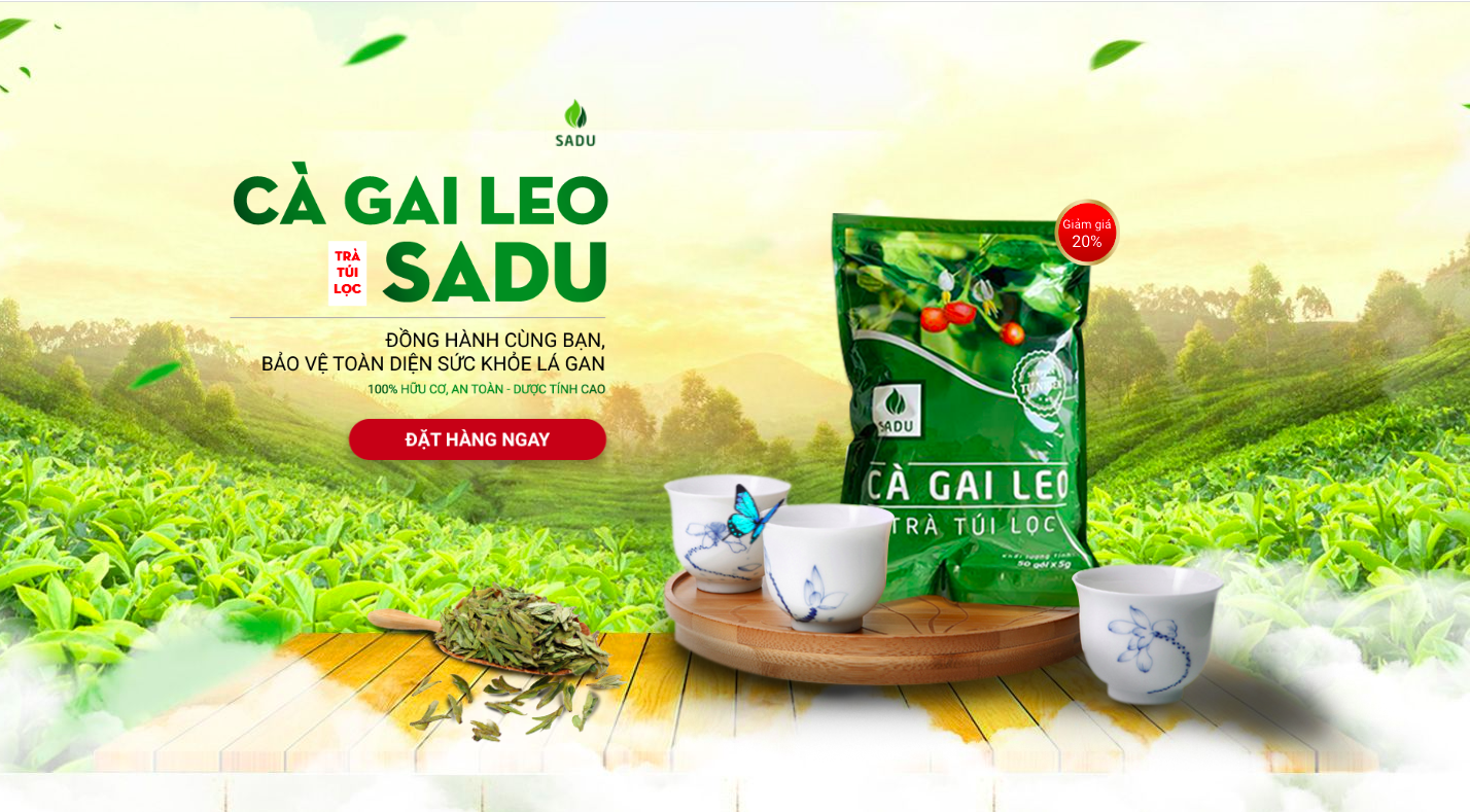 Trà cà gai leo Sadu bịch 1kg - Hỗ trợ bảo vệ lá Gan cho cả Gia đình bạn