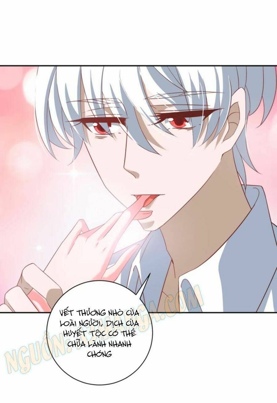 người yêu khát máu của tôi chapter 30 8