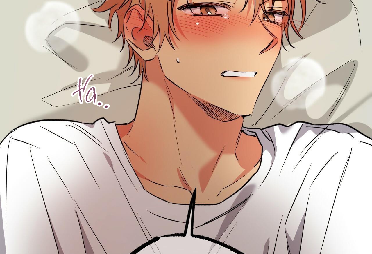 đàn thỏ của habibi chapter 54 120