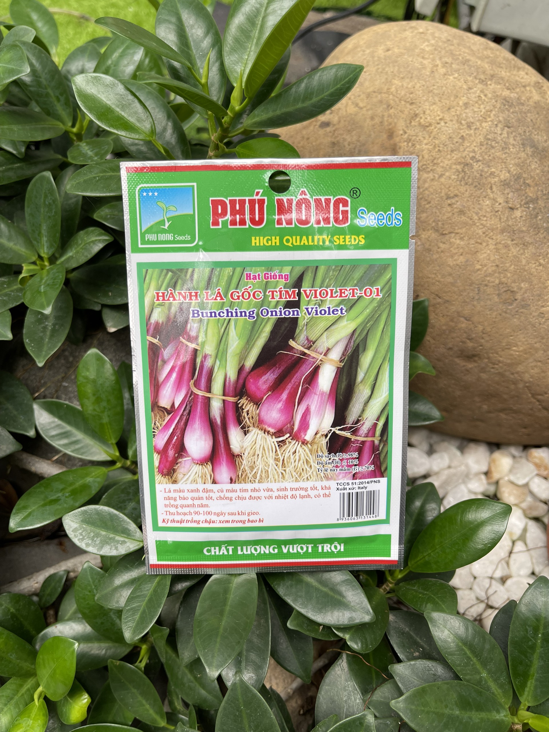 HẠT GIỐNG HÀNH LÁ GỐC ĐỎ PHÚ NÔNG
