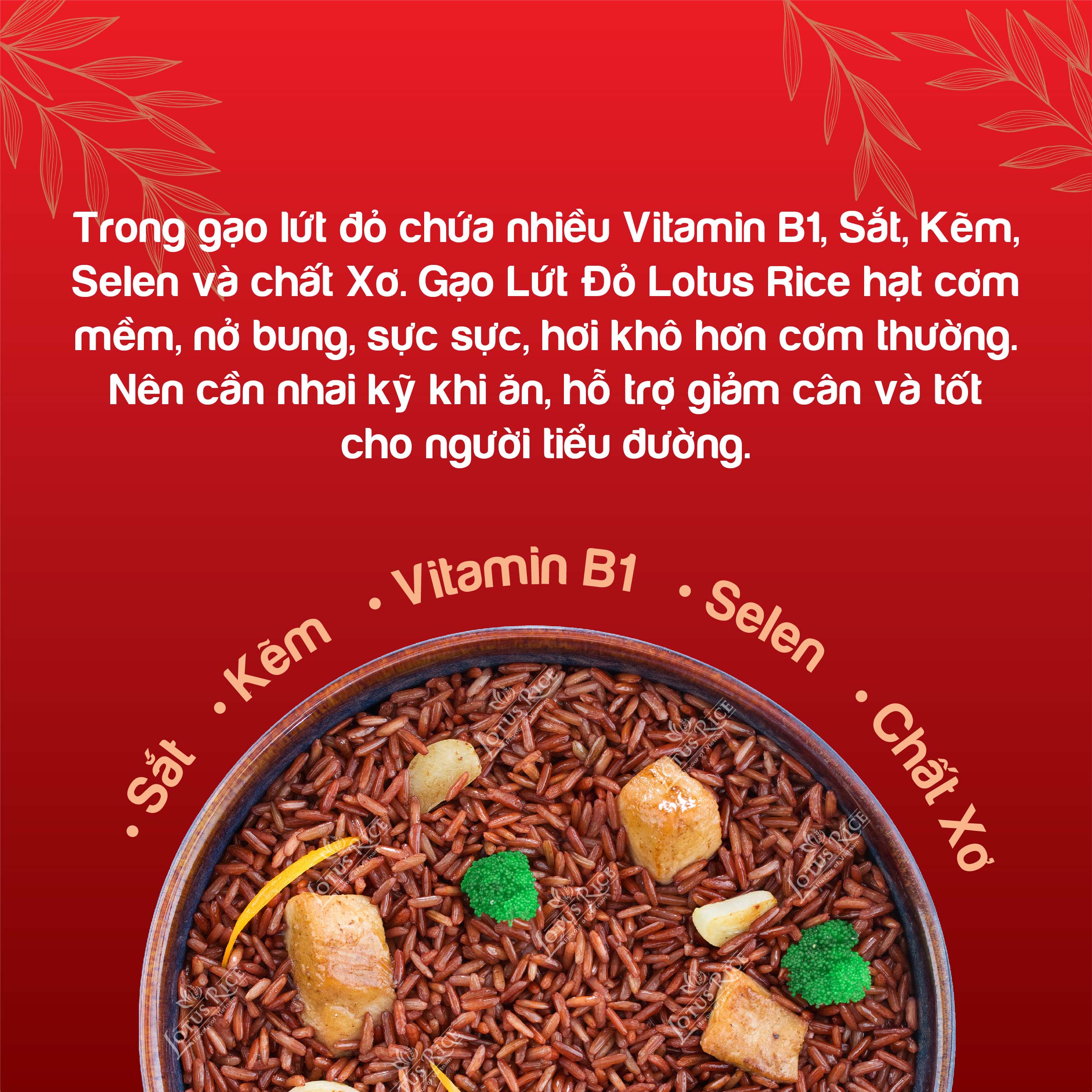 Gạo Lứt Đỏ Lotus Rice 1kg - Tốt cho người ăn giảm cân - Dễ ăn dễ nấu