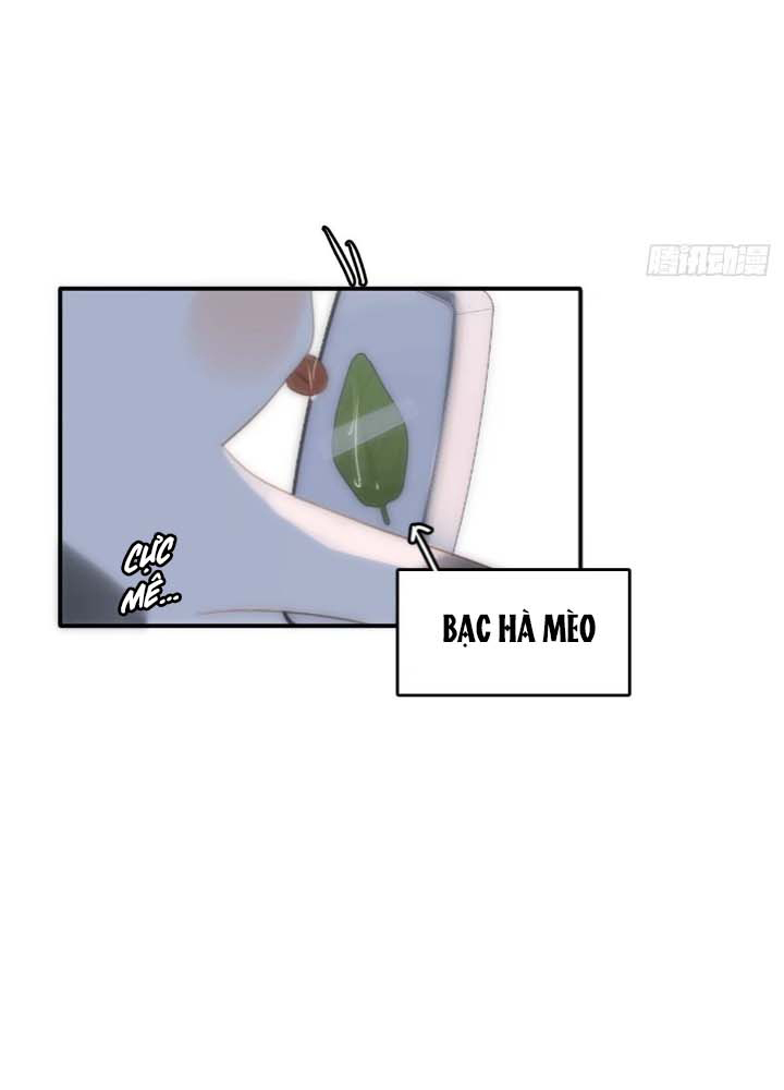 đêm đầy sao nói với em chapter 34 42