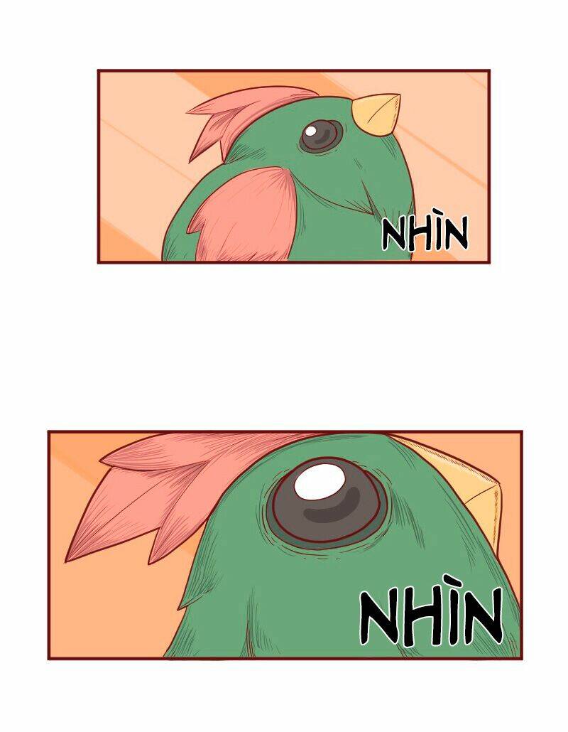saphie: chú mèo một mắt chapter 5 4