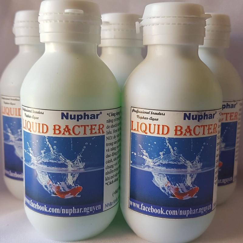 Chai Nuphar Liquid Bacter chống shock nước hồ cá cảnh