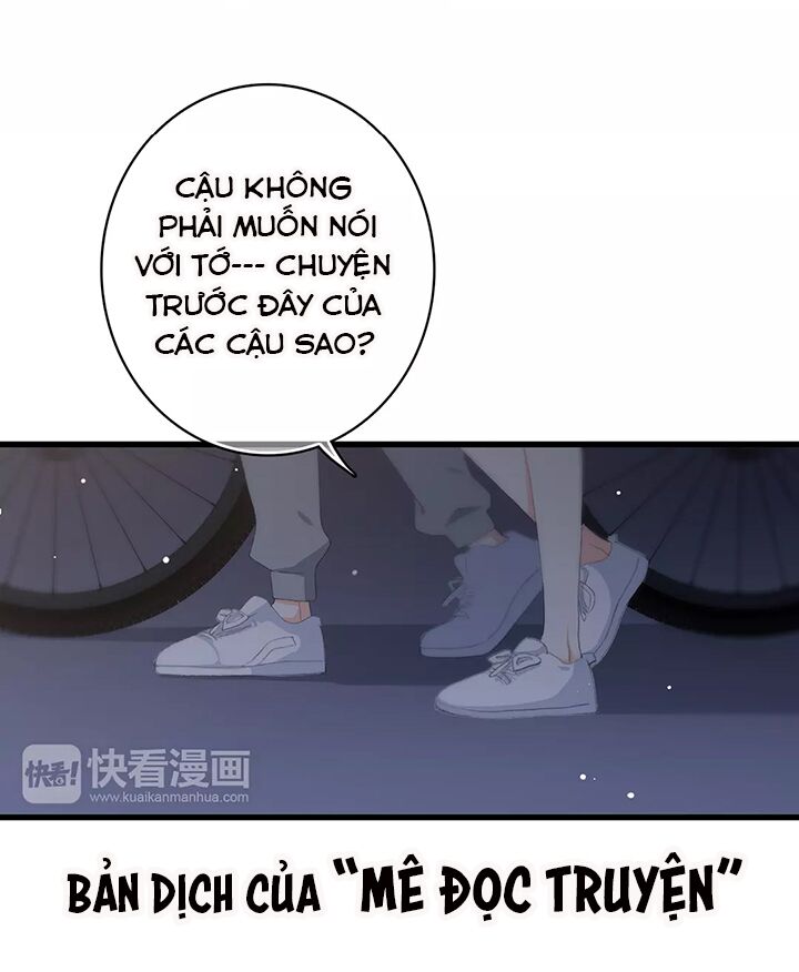 Con Tim Rung Động chapter 37 - Trang 24