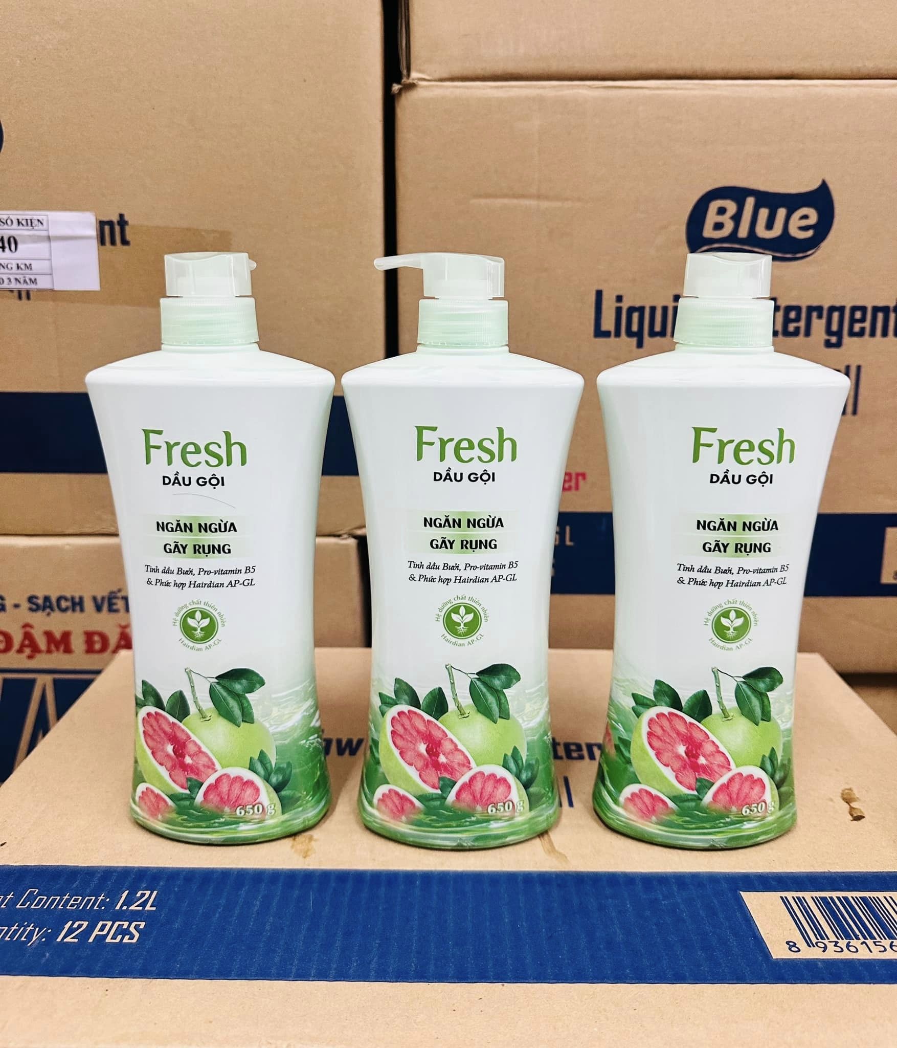 Dầu Gội Fresh Tinh Dầu Bưởi 650g