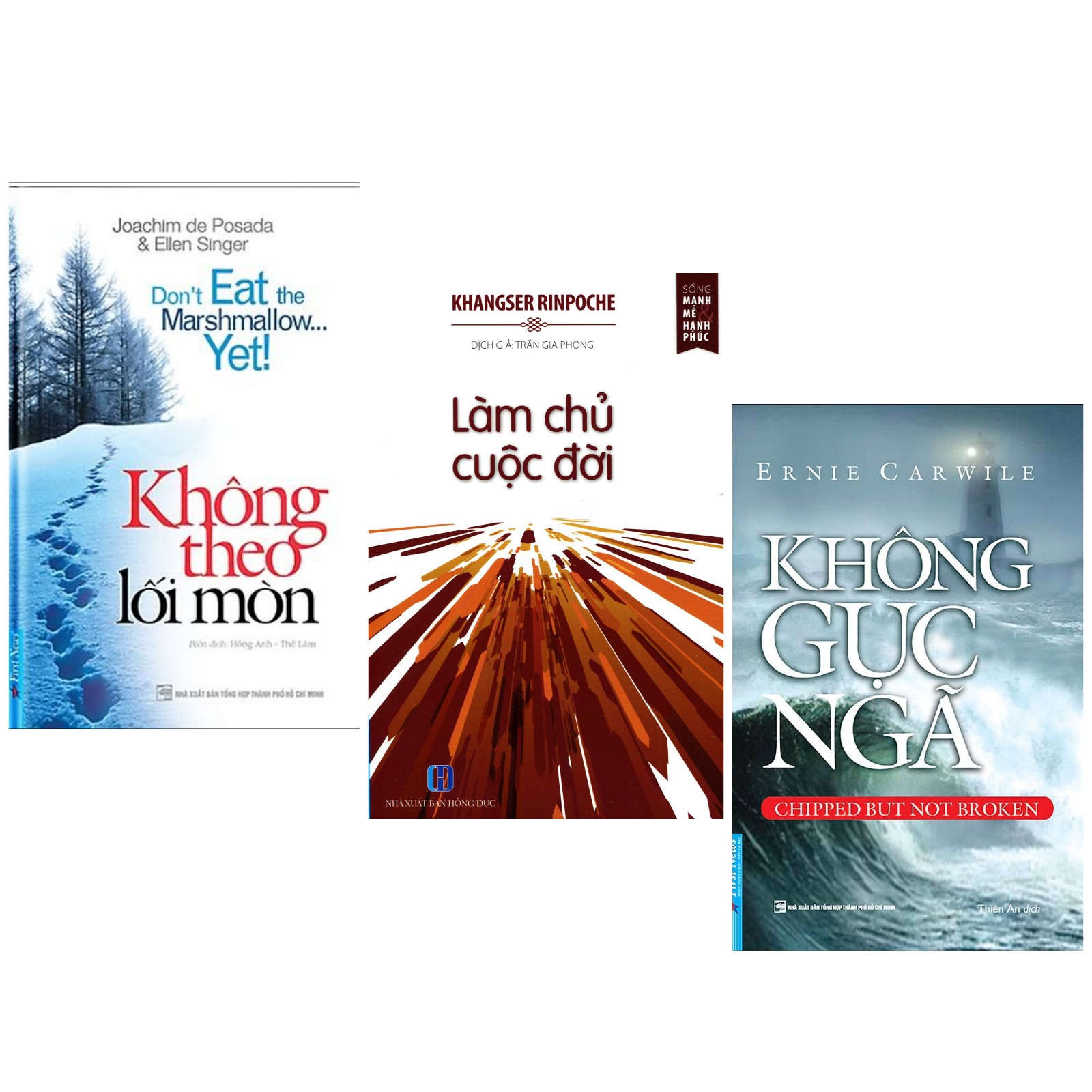 Combo 3 Cuốn Sách Kỹ Năng Sống: Không Theo Lối Mòn + Làm Chủ Cuộc Đời + Không Gục Ngã -