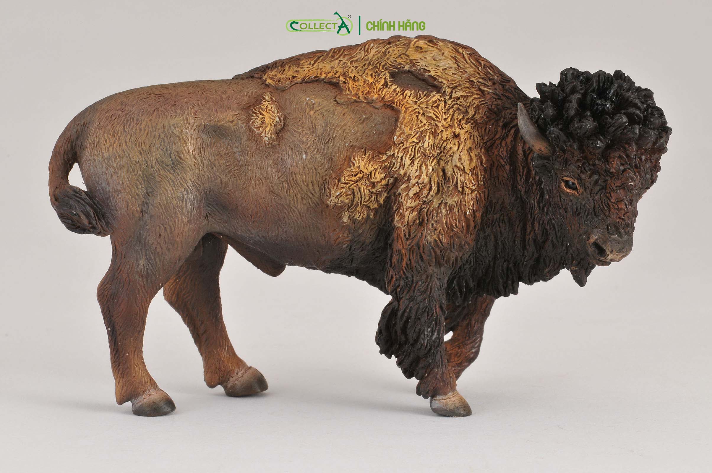 Mô hình thu nhỏ: Bò Rừng Bison - American Bison, hiệu: CollectA, mã HS 9651410[88336] -  Chất liệu an toàn cho trẻ - Hàng chính hãng