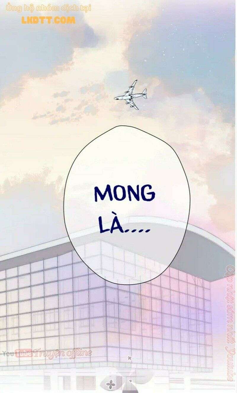 bảo vệ siêu sao của tôi chapter 134 43