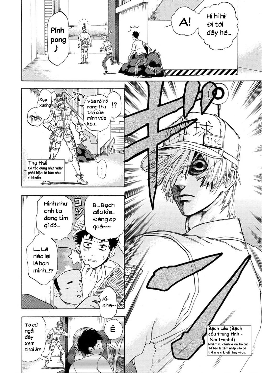 hataraku saibou! chapter 11 11