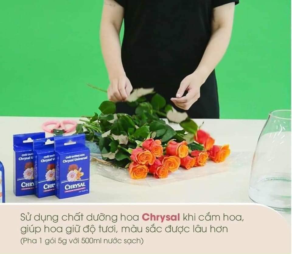 ưỡng hoa lâu tàn Chrysal