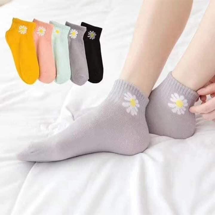 Combo 10 đôi tất hoa cúc kèm túi xinh/ sét 10 đôi tất hoa cúc