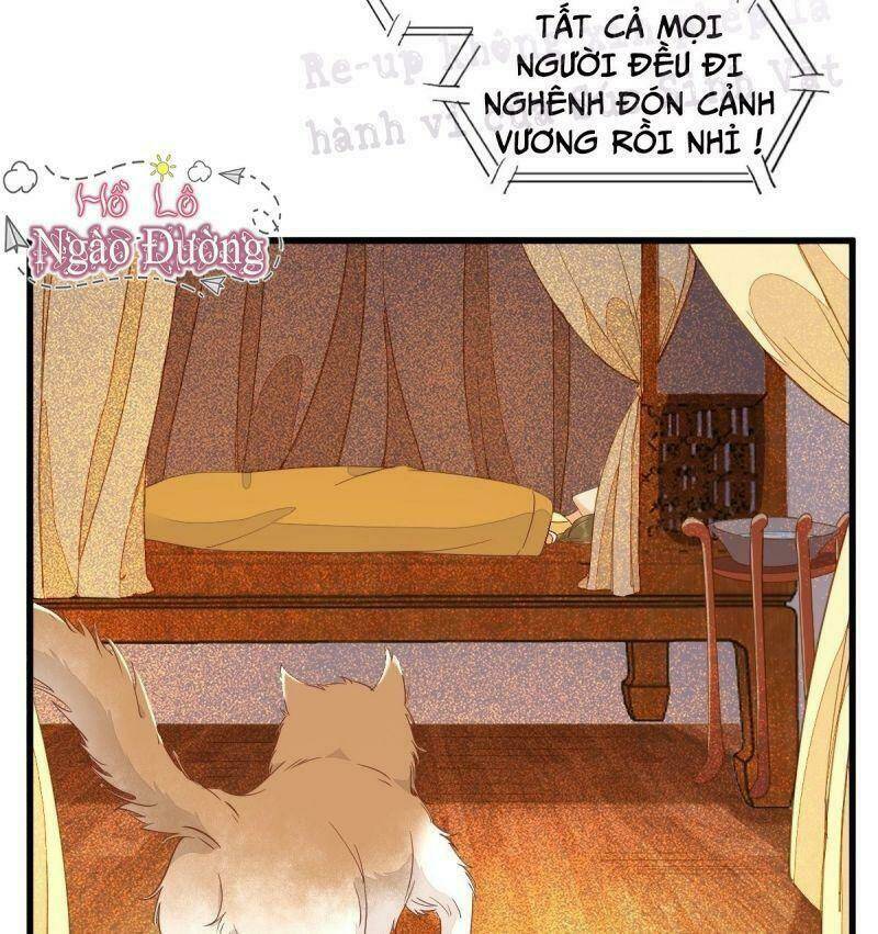 sát thủ vương phi không dễ chọc chapter 32 27