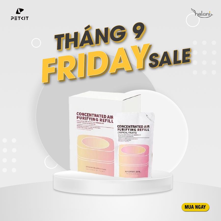 Hộp dung dịch thơm