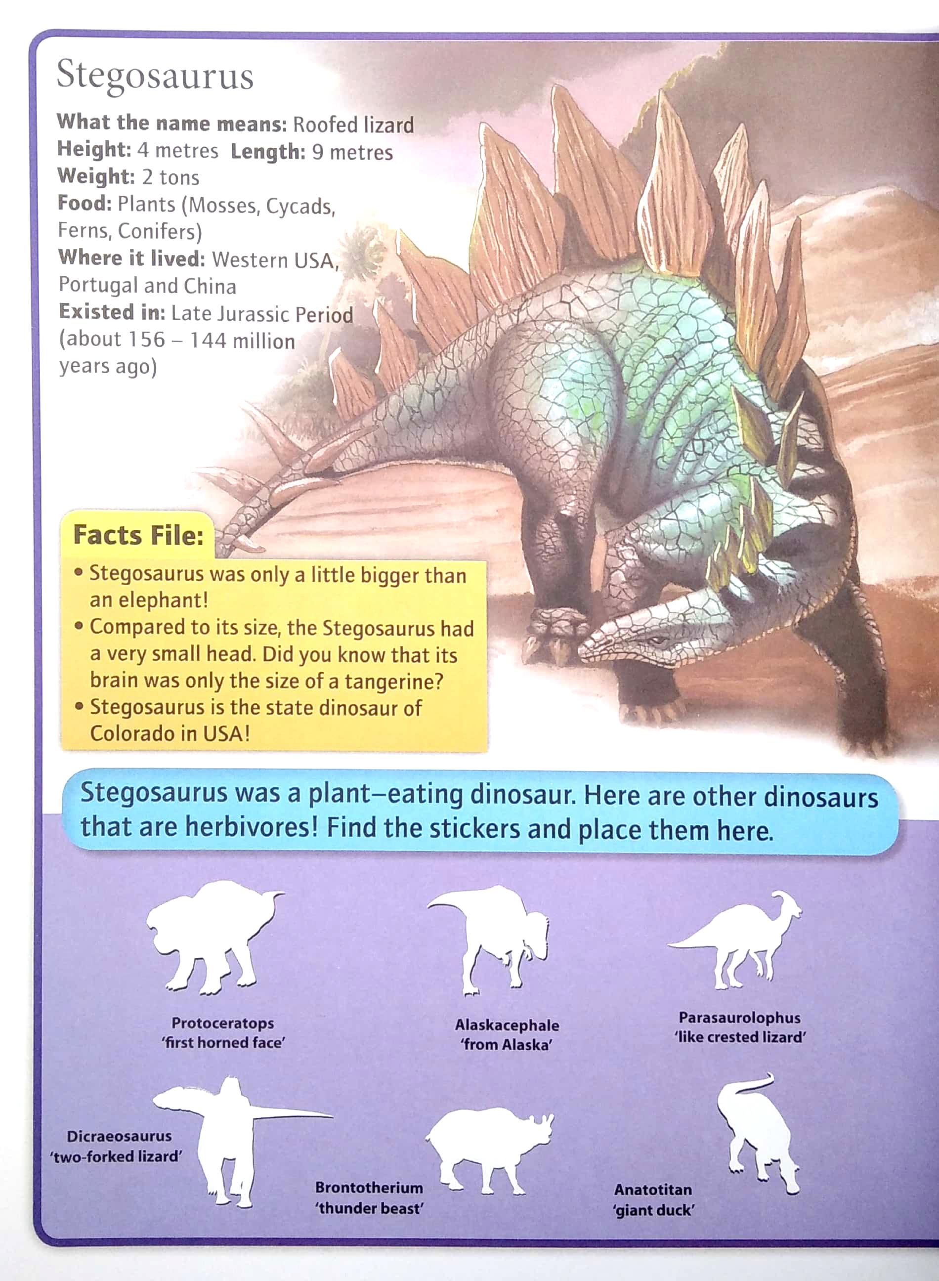 Wonders Of Learning - Sticker Book - Discover Dinosaurs