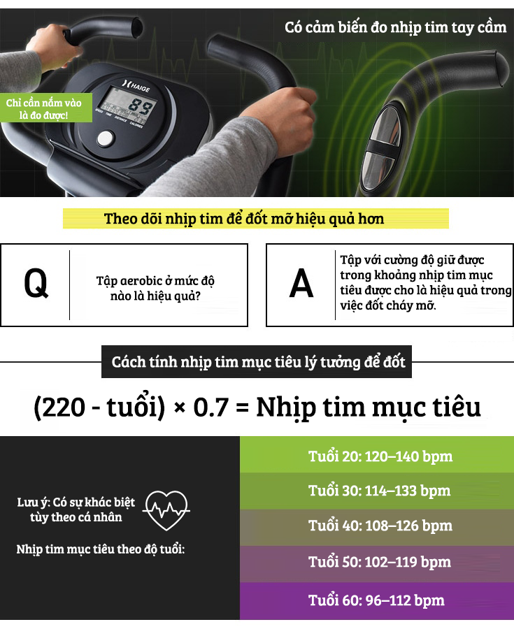 Xe đạp thể thao tại nhà gấp gọn 10 cấp độ kháng lực cảm biến nhịp tim hoạt động êm ái tải trọng 120kg