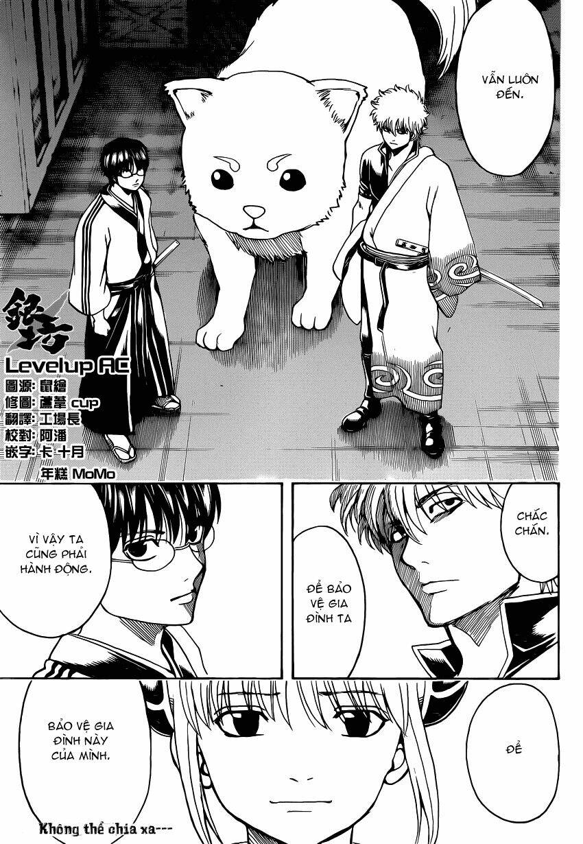 gintama - linh hồn bạc chapter 556 17