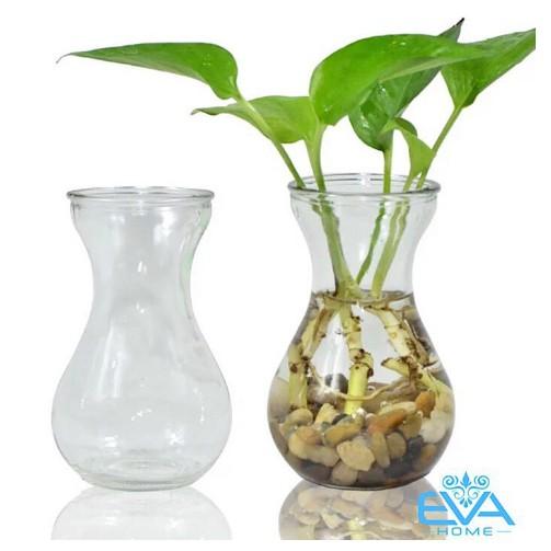 Bình , lọ thủy tinh miệng loe cổ thắt cắm hoa trang trí..