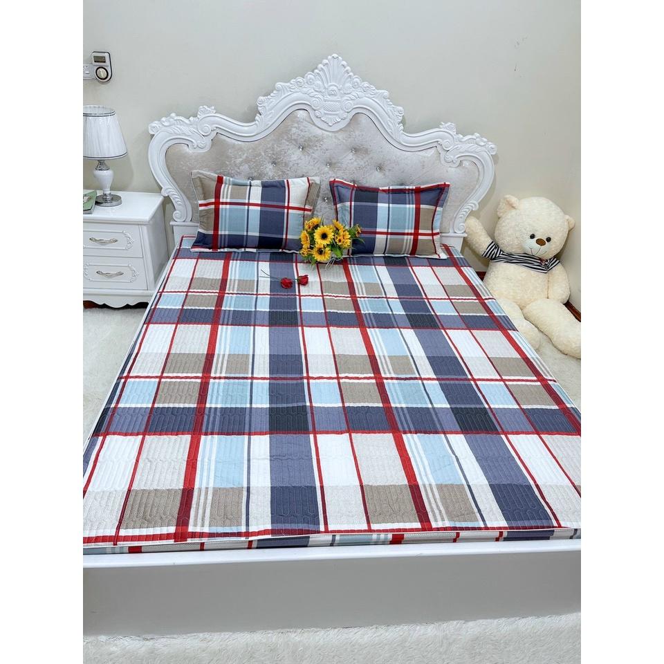 Bộ ga gối cotton trần bông Hàn các kích thước